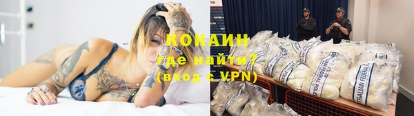 стаф Надым