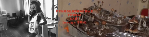 кокаин Михайлов