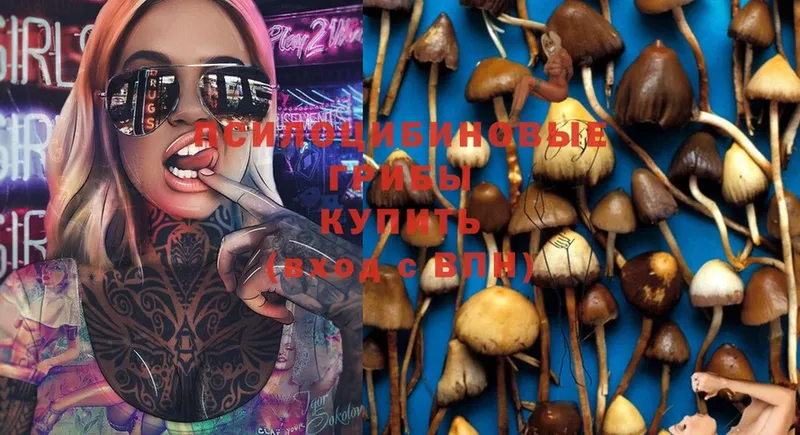 Псилоцибиновые грибы Psilocybe  Прокопьевск 