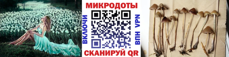 Псилоцибиновые грибы прущие грибы  купить  цена  Прокопьевск 